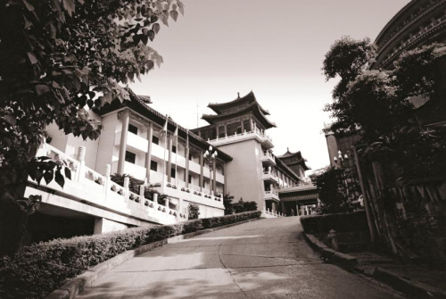 图片8
