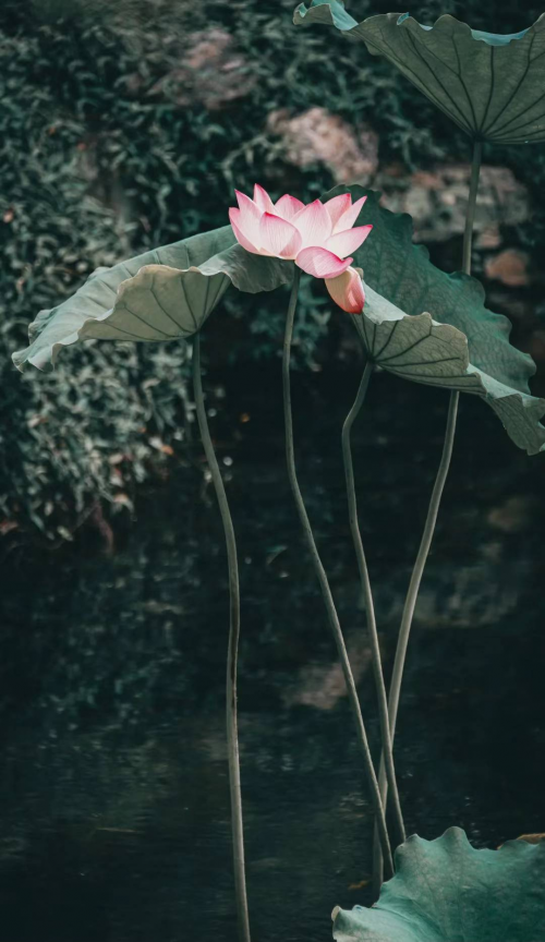 图片 8