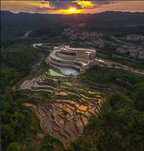 图片3