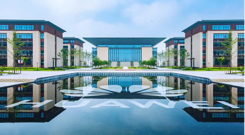 图片5